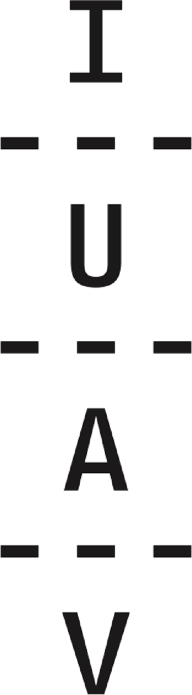 Logo Iuav 