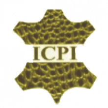 Logo_ICPI