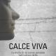 Copertina del romanzo: Antonella Benvenuti, Calce viva (Toletta 2013) 