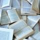 libri_logo