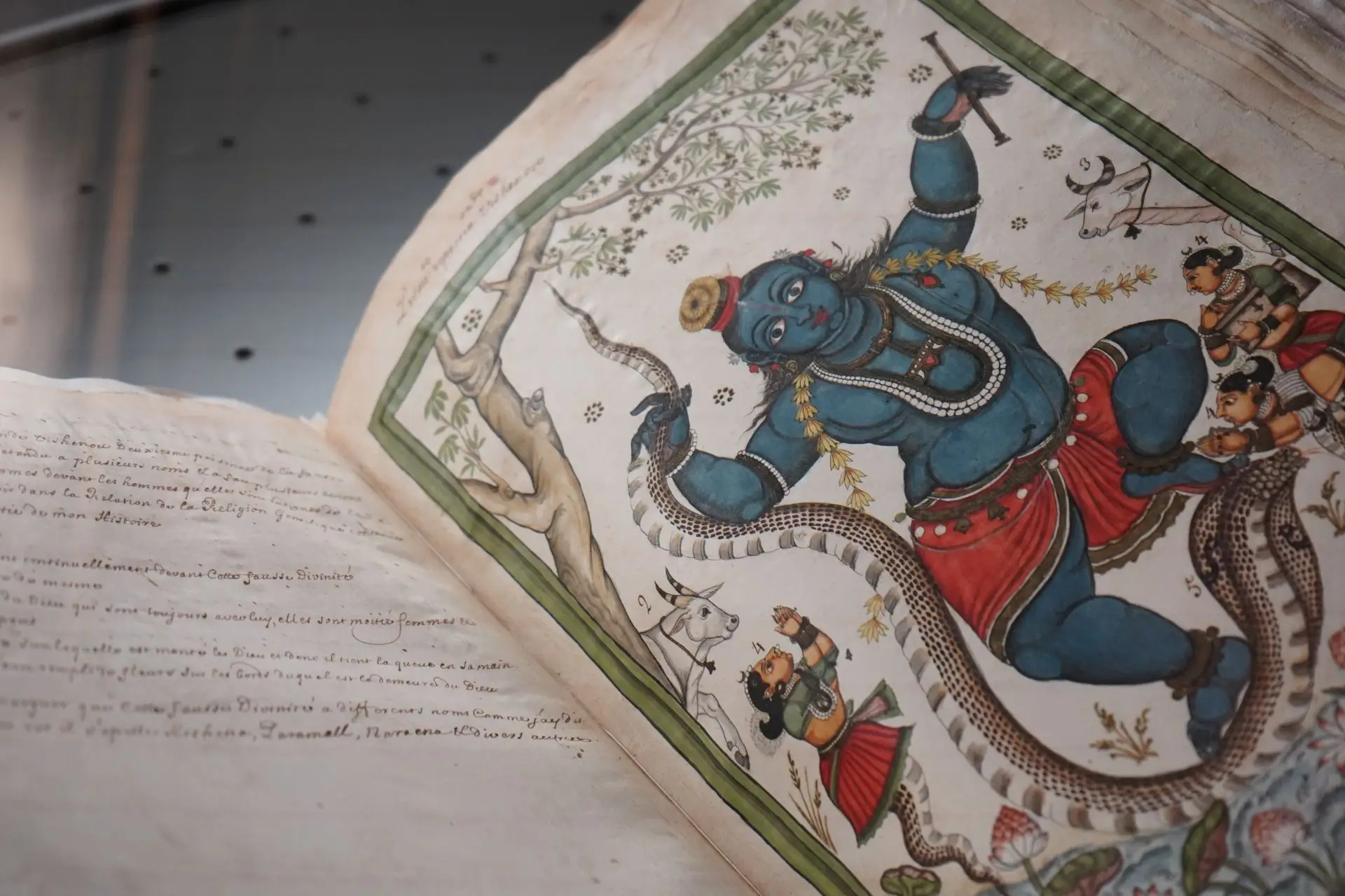 Patrimonio librario Biblioteca Marciana