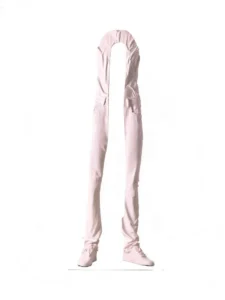Erwin Wurm skin