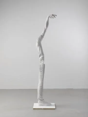 Erwin Wurm - skin