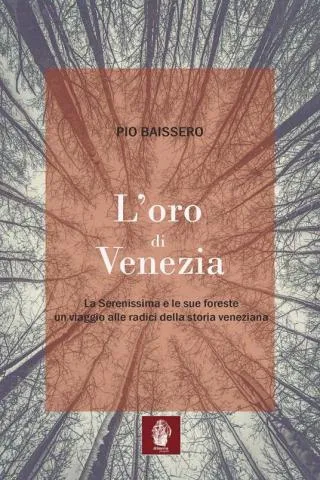 copertina volume l'oro di Venezia