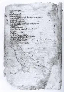cumanico